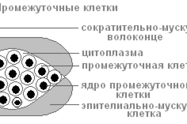 Кракен 18 вход