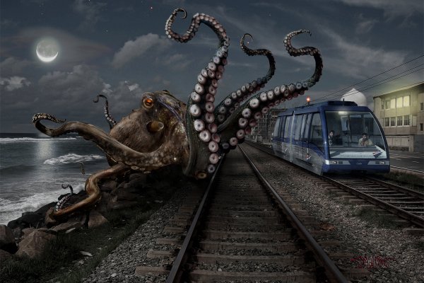 Kraken 12
